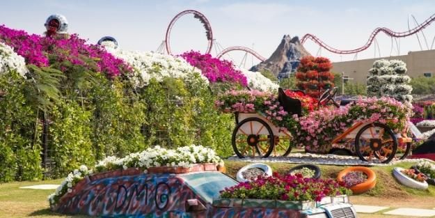 Dubai-Miracle-Garden